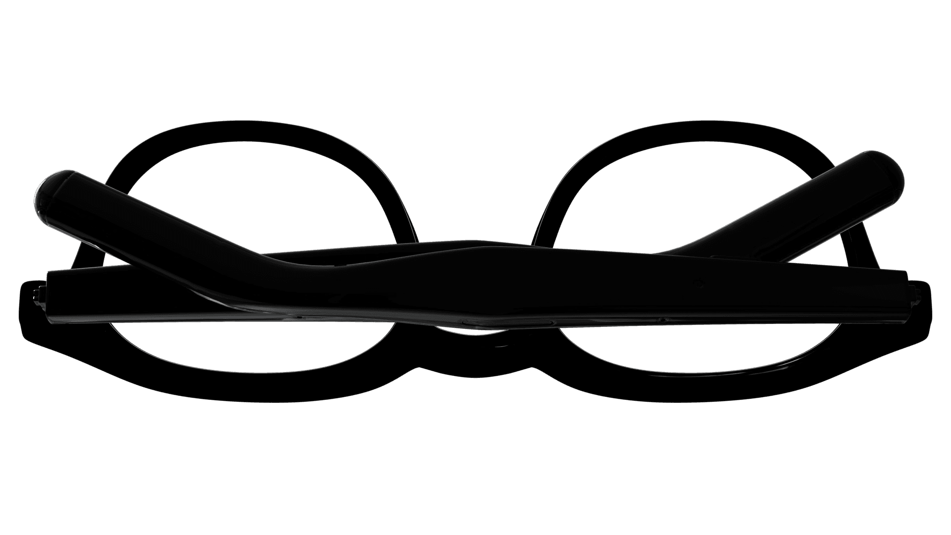 Eyewear with privacy features